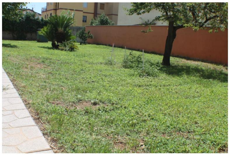 Alloggio accogliente tra mare e città Rome Extérieur photo